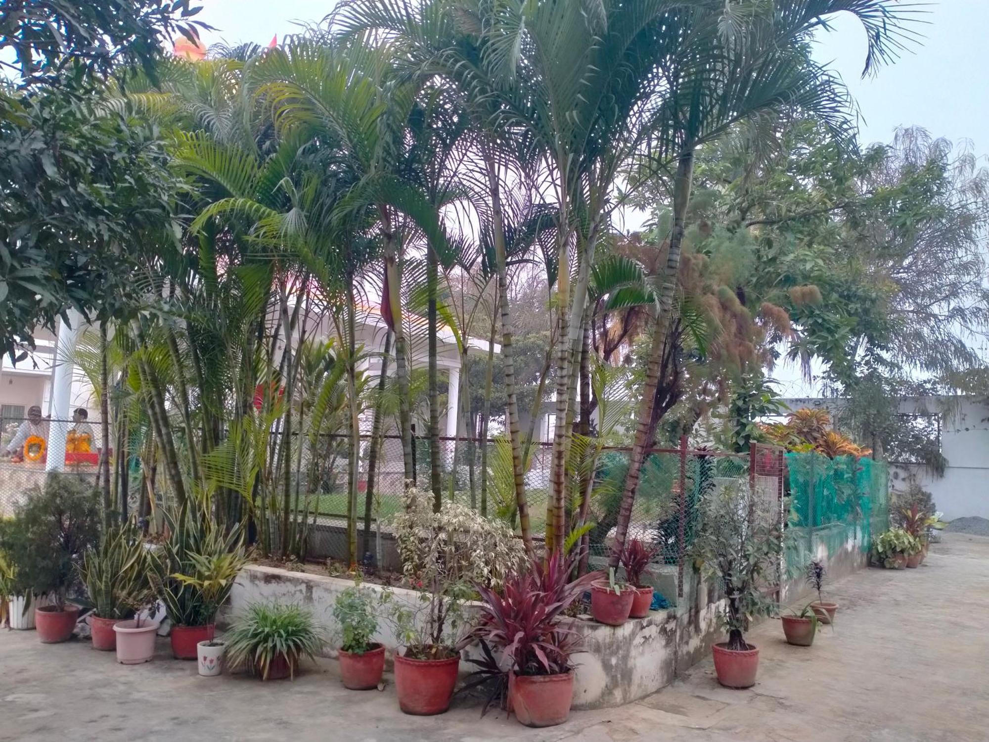 Vedic Villa Benares Buitenkant foto
