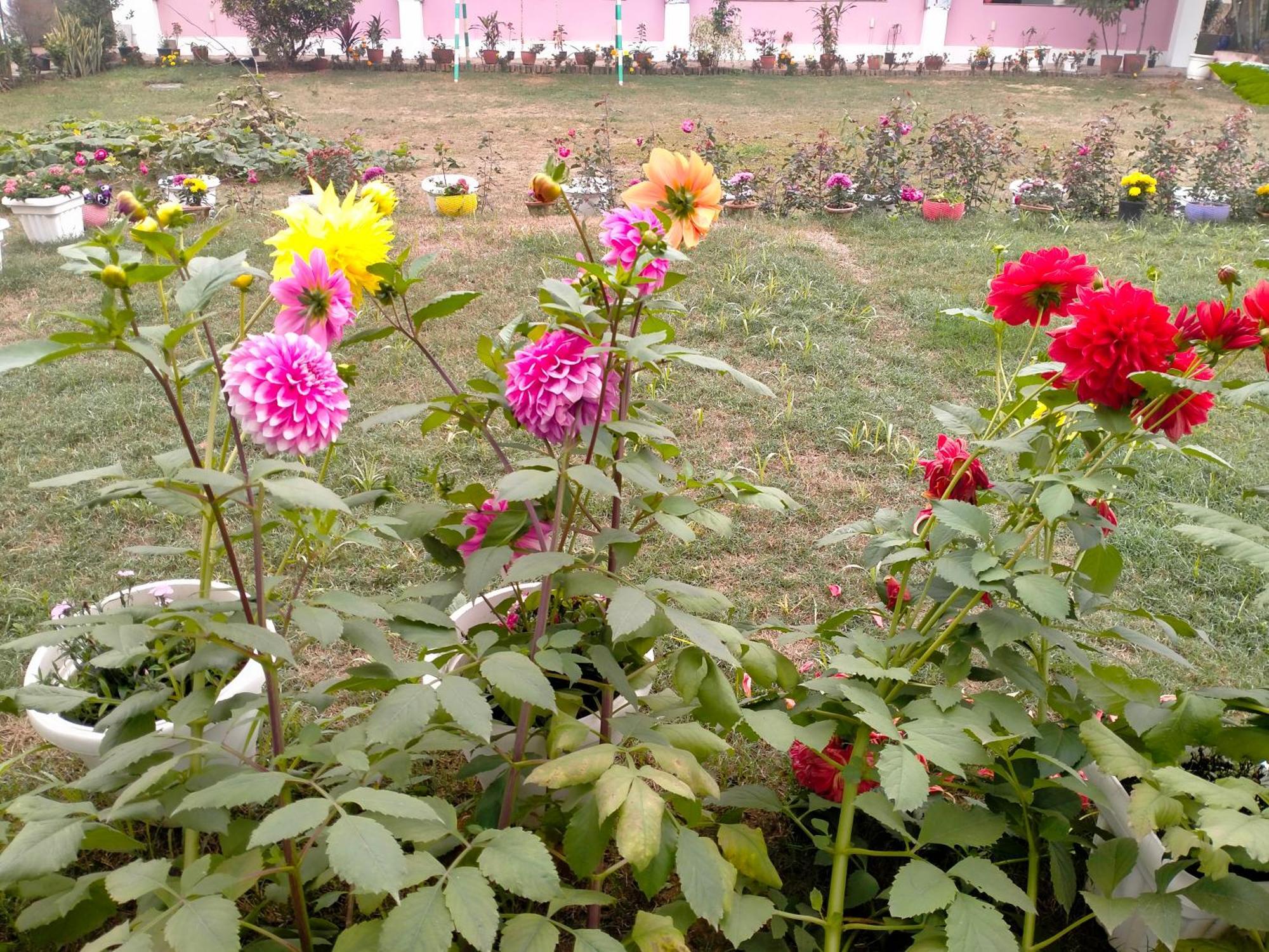 Vedic Villa Benares Buitenkant foto